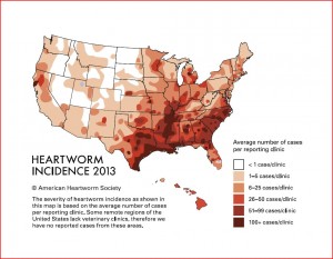 Heartworm Incidence 2013